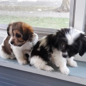 Meet your Posher, Jean